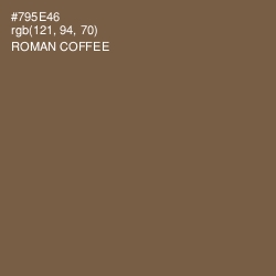 #795E46 - Roman Coffee Color Image